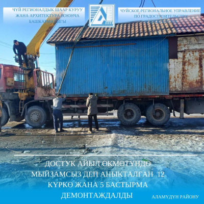 Достук айыл өкмөтүндө мыйзамсыз деп табылган 12 күркө 5 бастырма демонтаждалды
